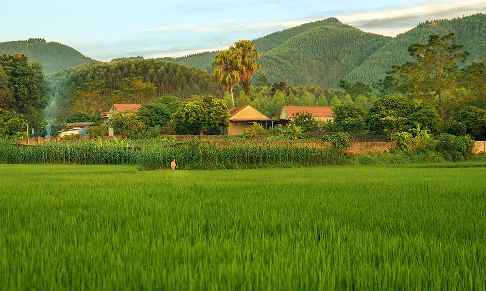 Bâng khuâng khói lam chiều